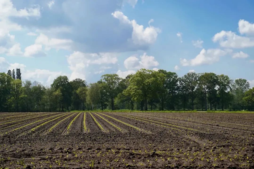 Getting the Most from Spring Soil Preparation