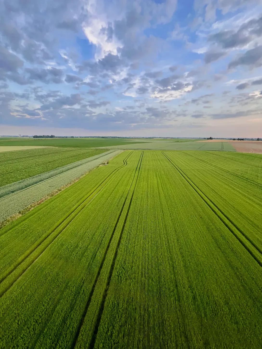 Why Crop Rotation Still Matters in Modern Arable Farming
