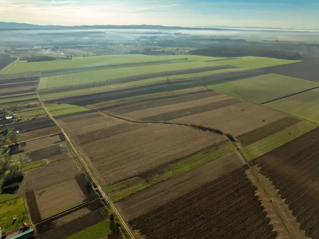 Greenfield Arable 12