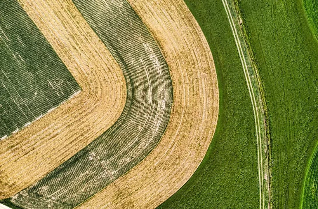 Greenfield Arable 14