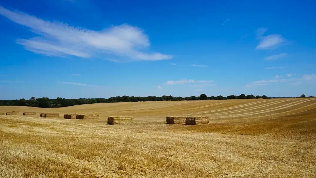 Greenfield Arable 3