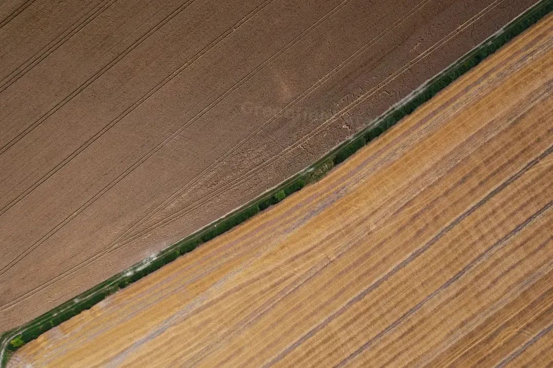 Greenfield Arable 6