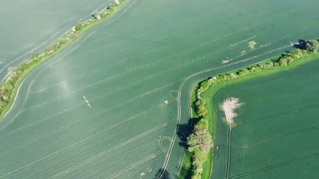 Greenfield Arable 7