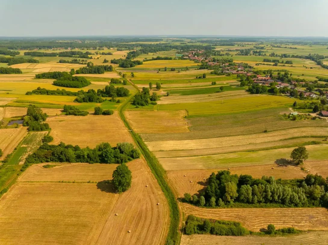 Greenfield Arable 8