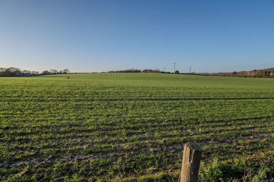 Sprayer application and crop protection planning