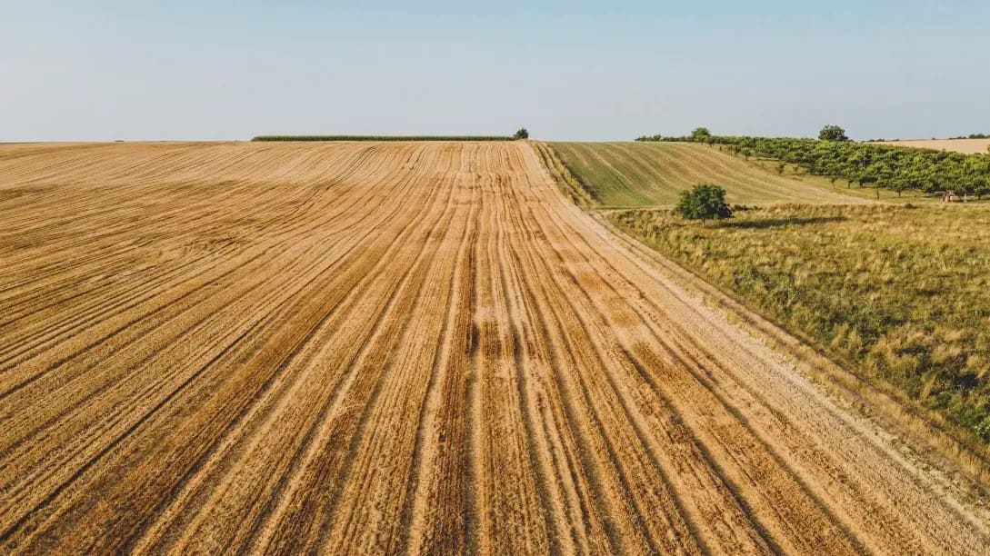 Harvest coordination and grain handling support