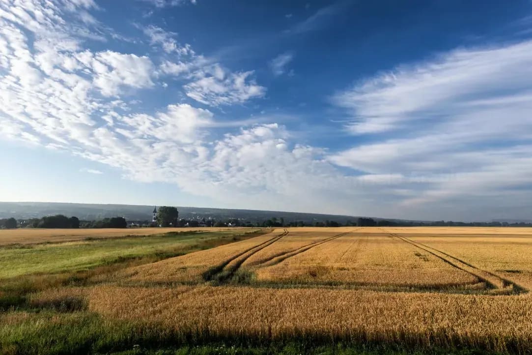 Stubble management and cultivations