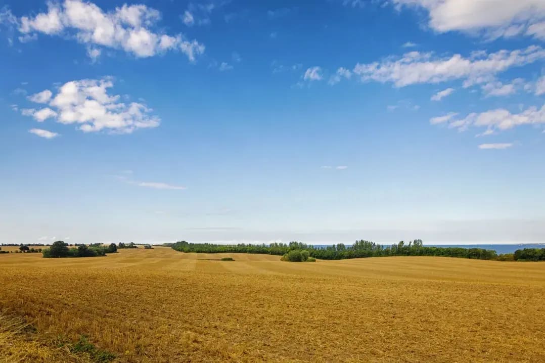Precision farming and field mapping