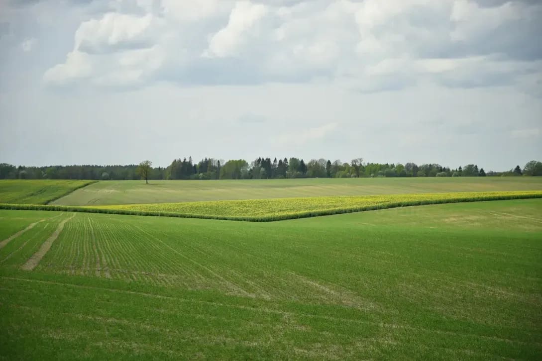 Arable machinery hire and seasonal labour support